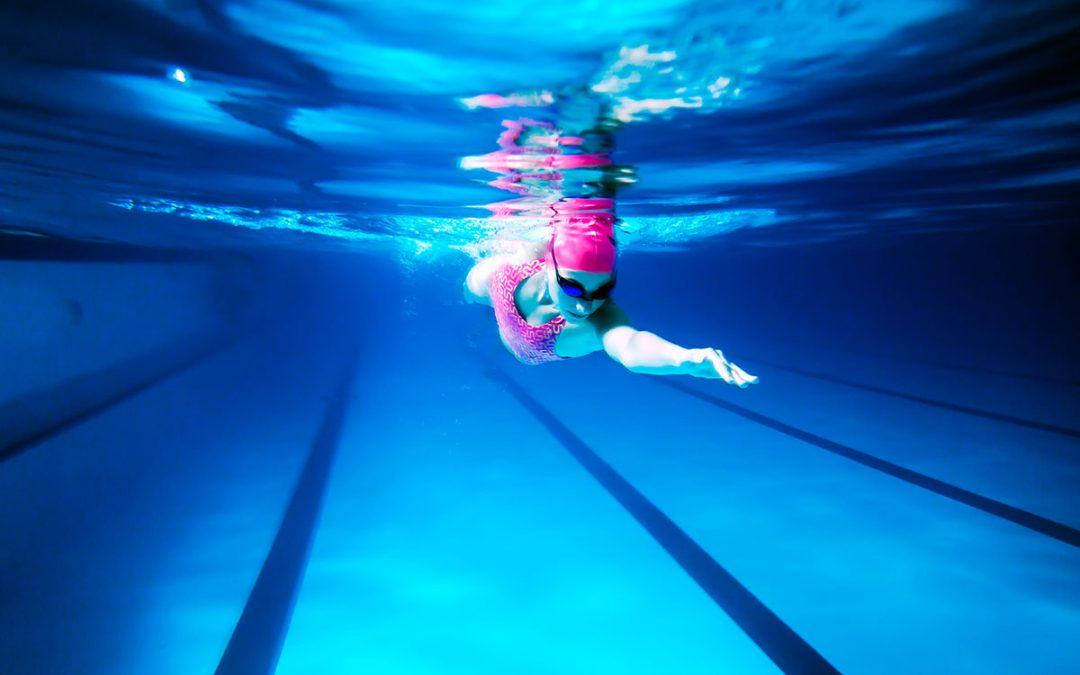 Macdonald Holyrood tweet media