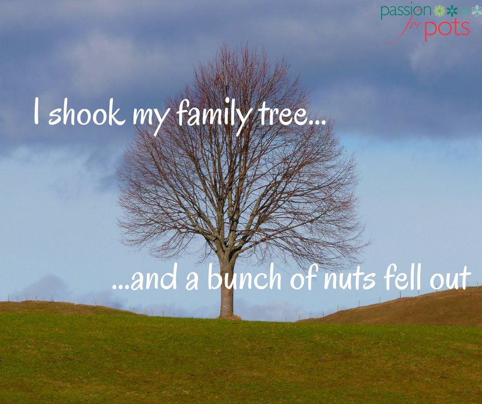 EnscapeUK's tweet photo. How many #nuts do you have in your #tree? 😂😂 https://t.co/WmwI9k7015