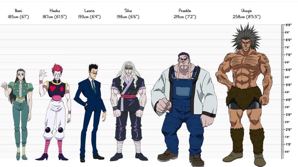 Hunter X Hunter Characters Heights Ranking 