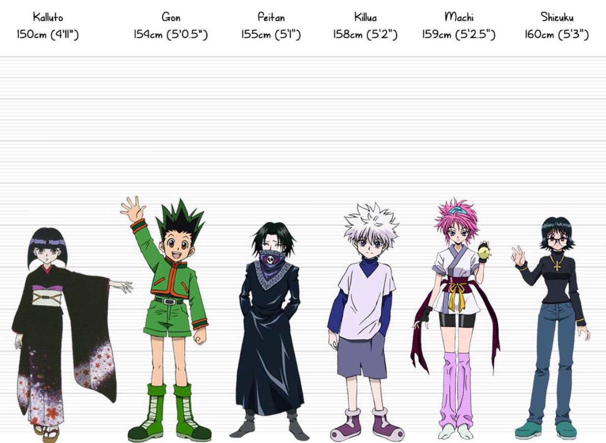 Hunter X Hunter Characters Heights Ranking 