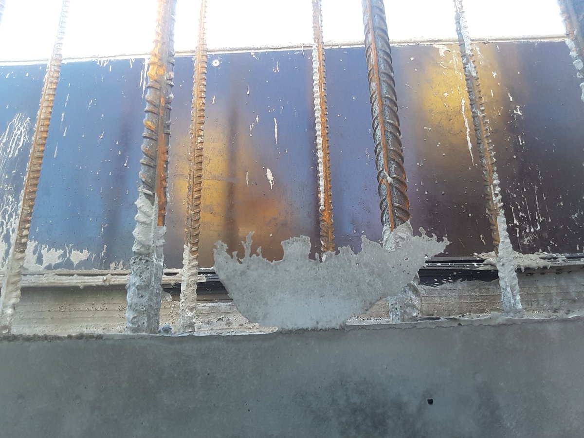 Bjarki Magnússon (@seljanes72) on Twitter photo 