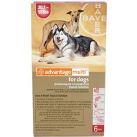 Canadapetcare's tweet image. Want Multi-purpose fleas, heartworm, gastrointestinal worms treatment 4 #dogs &amp;amp; #cats? Try #AdvantageMulti #pets - goo.gl/6iSRWN