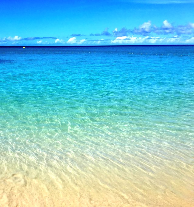 綺麗な景色のtwitterイラスト検索結果 古い順