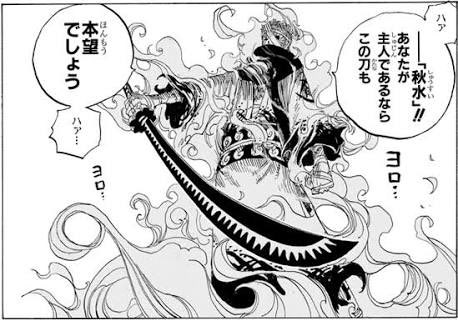 ワンピース 剣豪 霜月リューマの正体とその強さとは ゾロ との関係は 漫画情報 Info