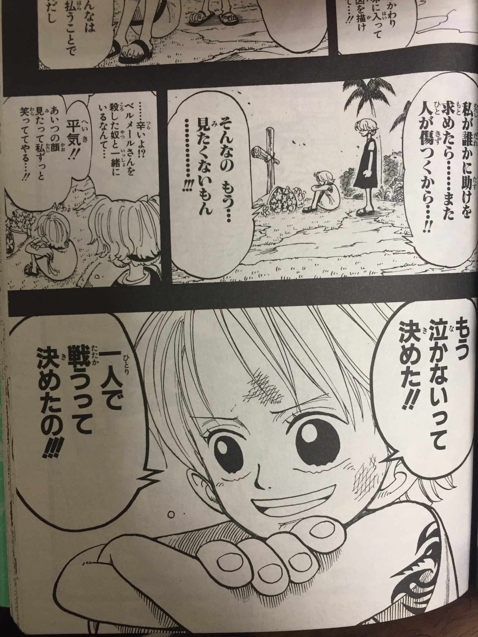 ワンピース名言 名シーン ナミ 私が誰かに助けを求めたら また人が傷つくから そんなの もう 見たくないもん 辛いよ ベルメールさんを殺した奴と一緒にいるなんて 平気 あいつの顔見たって私ずっと笑ってて やる もう泣かないって決めた 一人