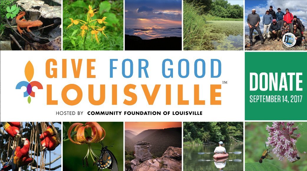 ForecastleFound's tweet photo. Now more than ever funding for environmental non-profits, like us, is critical. Make an impact. Donate tomorrow. https://t.co/Ecdy8ImwRK https://t.co/4JAwZ1pADV