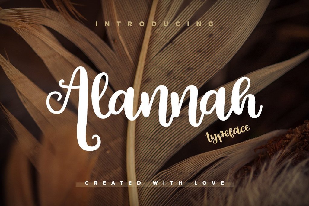 GraphicReviewCl's tweet photo. Alannah Script Font 
#font #fonts #script https://t.co/h1CPrxya4o https://t.co/LcAmpzciwV