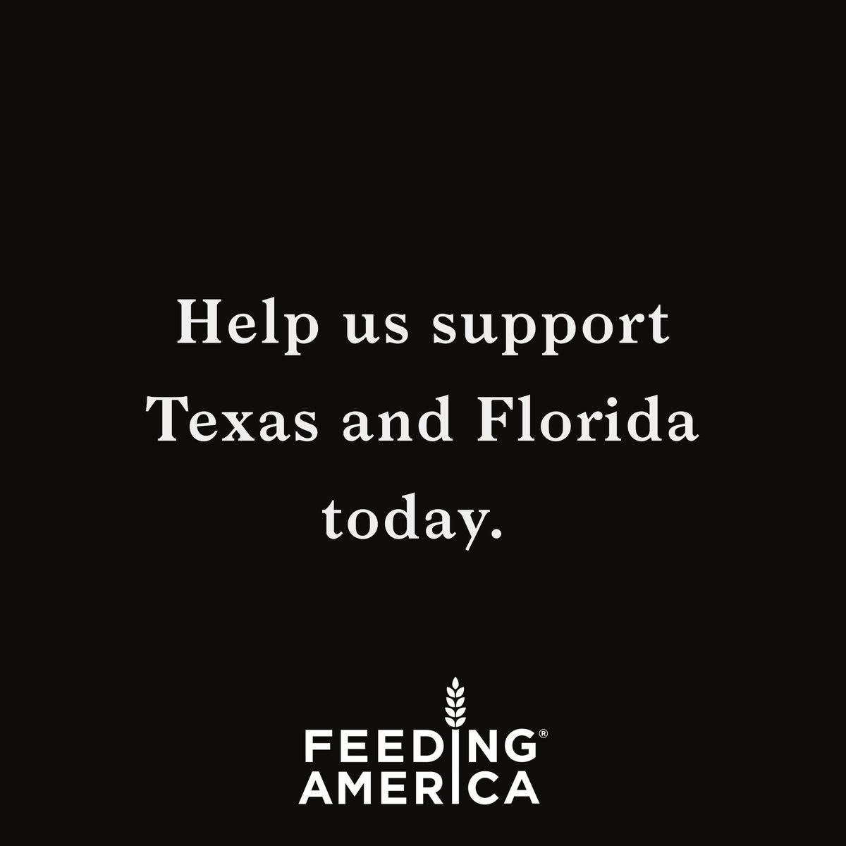 MAKE Sandwich tweet media