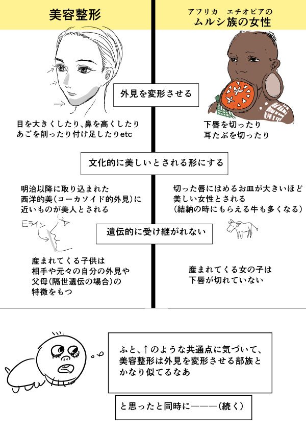 反物 浴衣 エチオピア少数民族ムルシ族の唇に入れる皿 文化的価値有 - 置物