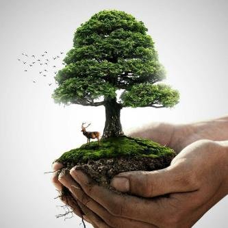 What investments are needed in African agriculture for it to meet the global food demand? Find out more at goo.gl/t4F1RB