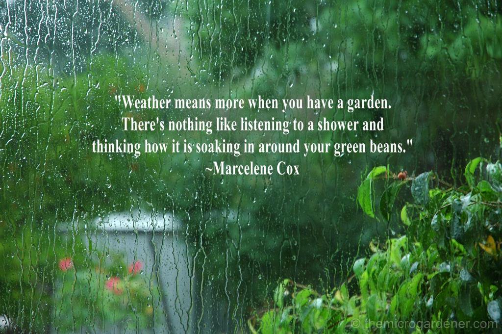 For all those community growers, out in all weathers! Into each garden, a little rain must fall! <a href="/GreenHealthGMcr/">GreenHealth Alliance</a> @FCFCG