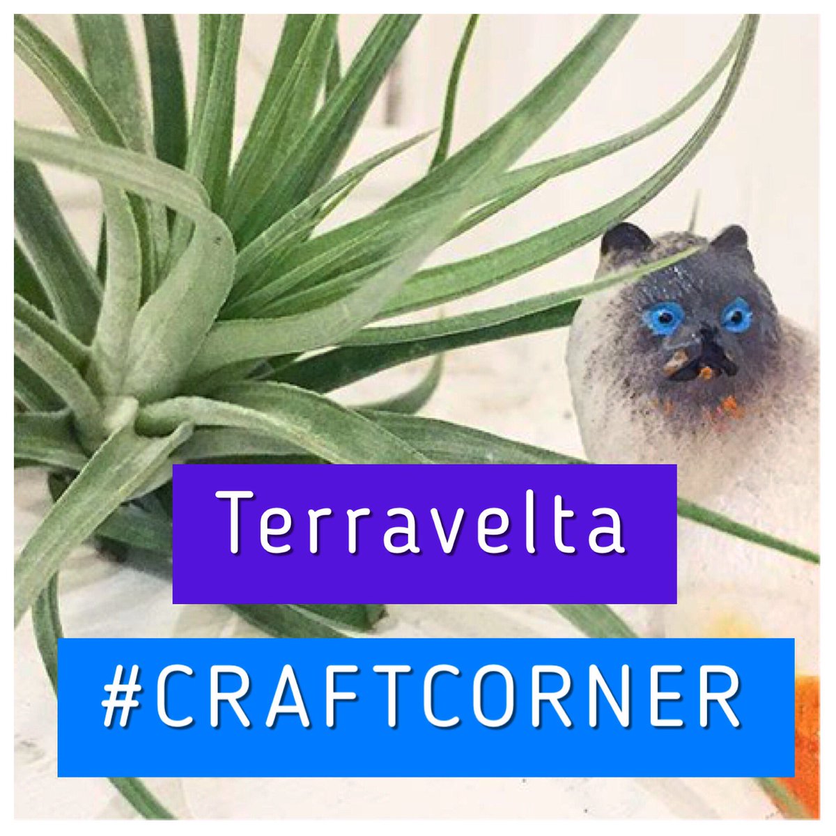 ChinatownRemix's tweet photo. Visit a variety of local crafters, makers &amp; artisans this Sat. Sept. 16th 11am - 5pm, including Terravelta. #craftcorner #supportlocal #613 https://t.co/pY9hAQFwEe