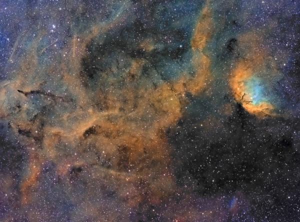 The Tulip Nebula