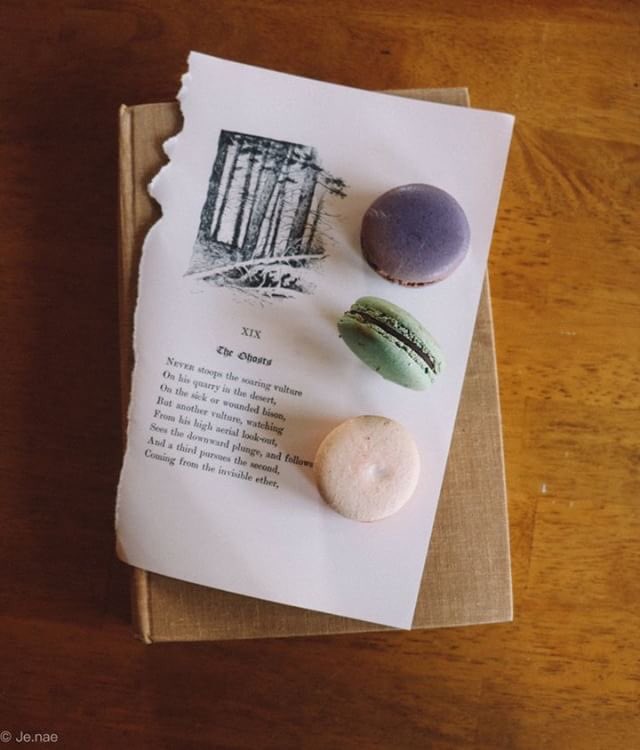 Fall flavors coming soooooo soon!