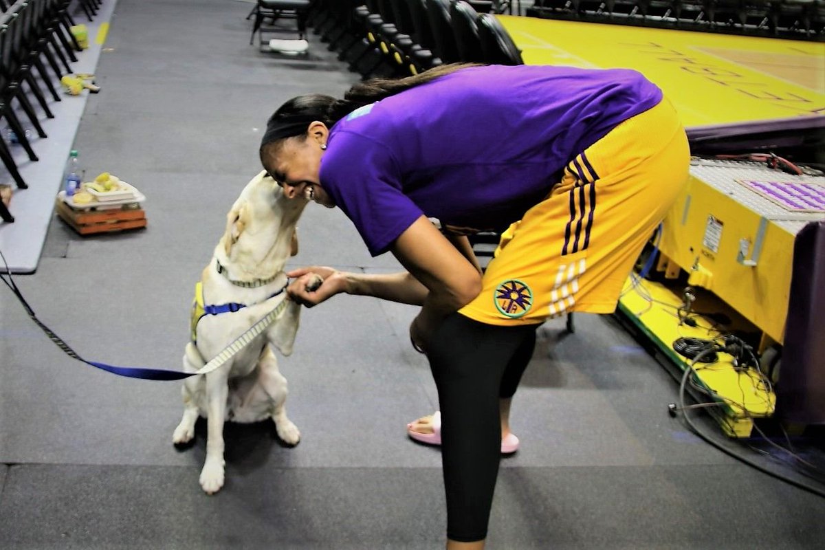 Canine Companions® tweet media