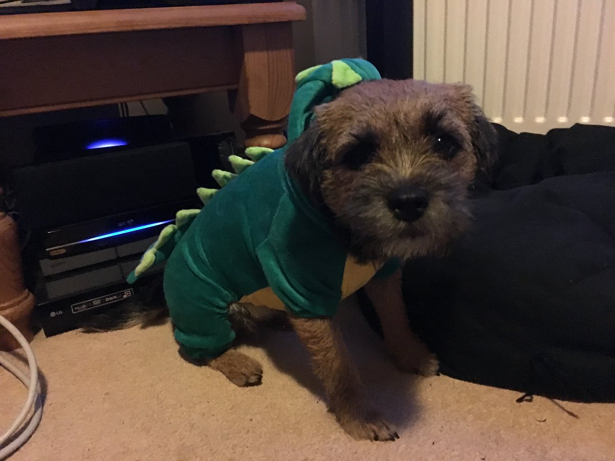 Explodecamp's tweet photo. There'll be a Dragon on site this weekend! We'll need knights to protect all the damsels in destress!! #MedievalFancyDress #Explode2017 https://t.co/xMSBfNsCYk