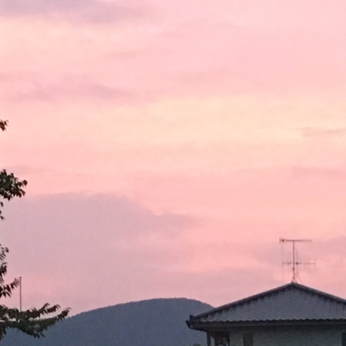 ピンク色がかった夕焼け空 Twitter Search
