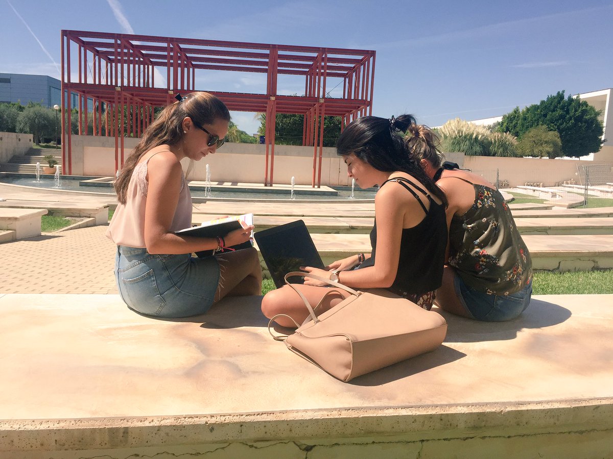 Un dels llocs preferits per als estudiants d'erasmus, diversitat de cultures i llengües, un clima 10!! <a href="/UA_Universitat/">Universitat Alacant</a> #publiturisme2017