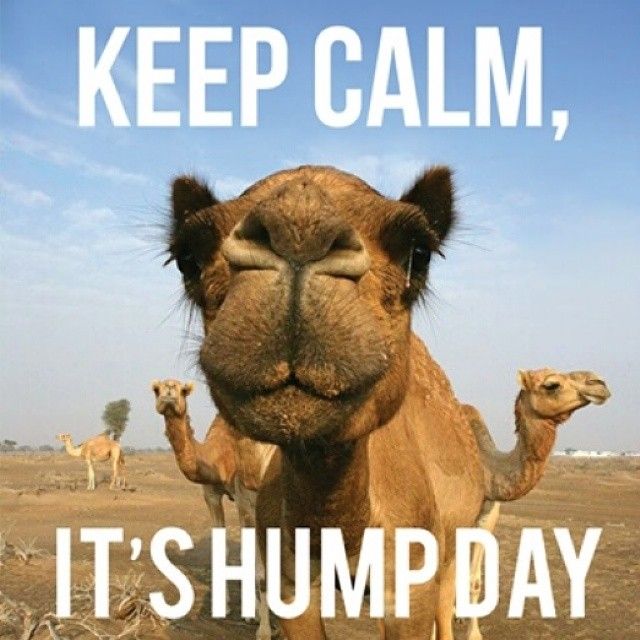 Almost the weekend! #humpday