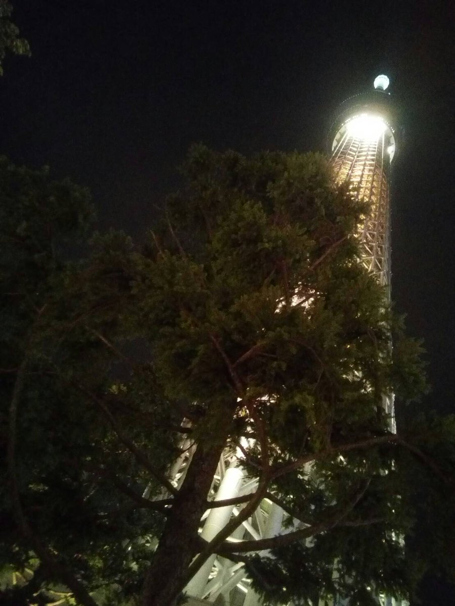 yu_tan0324's tweet photo. すごく風が気持ちいいヽ(￣▽￣)ノ

＃スカイツリー
＃skytree
＃そらまち
＃押上
＃夜景
＃グラデーション
＃デート https://t.co/M64DM08N5i