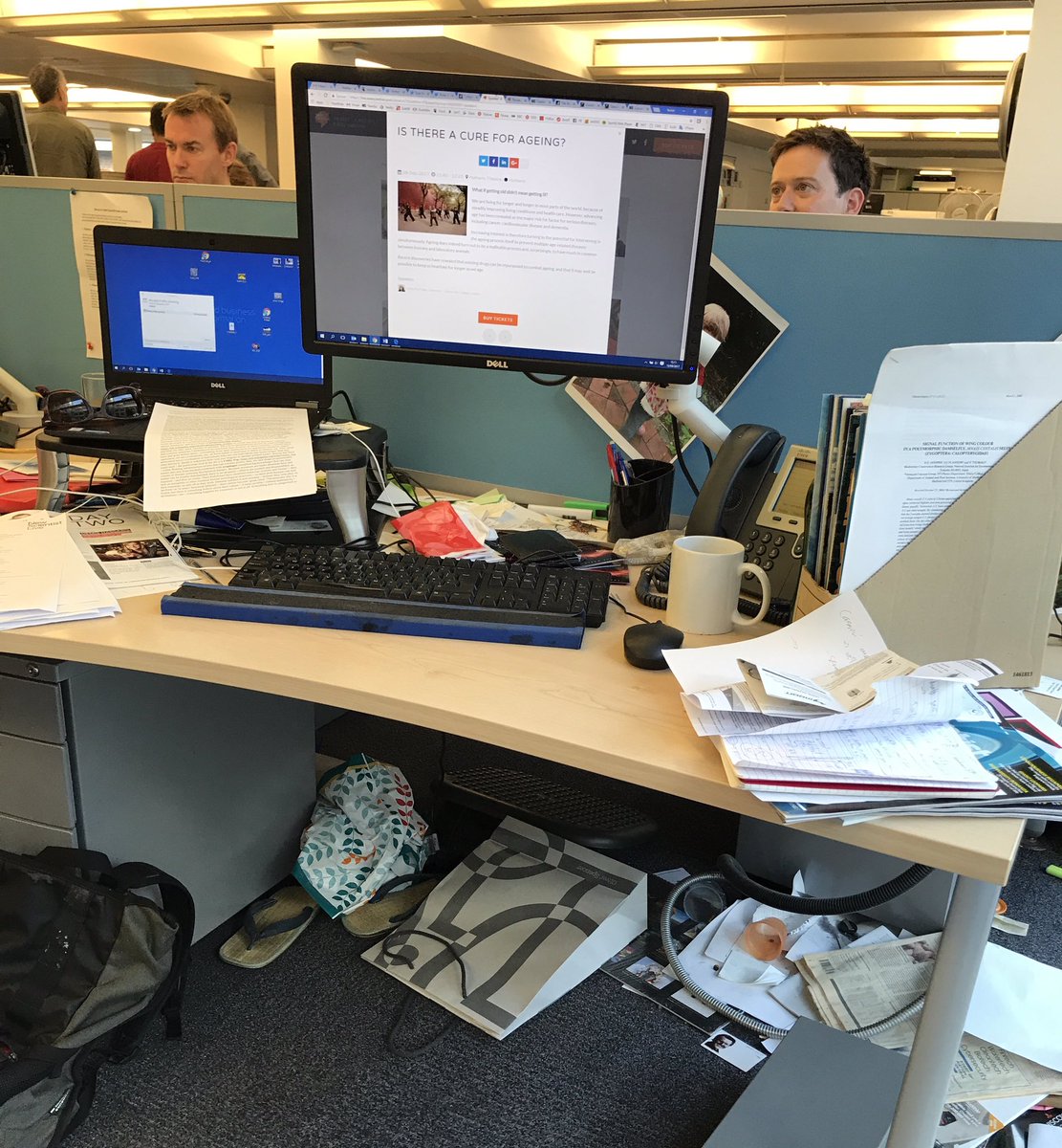 Rowan Hooper A Twitter If A Cluttered Desk Is A Sign Of A