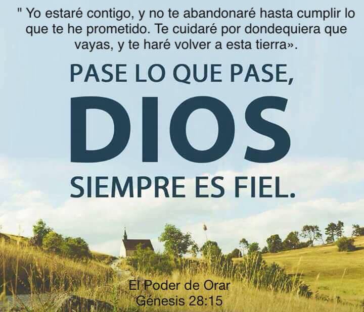 MaydaAcosta3's tweet photo. Muchos creyentes empiezan su vida cristiana  si haber pasado por el arrepentimiento. razón  por la cual desmaya antes de llegar a la meta.🙏🙏 https://t.co/ZCeEREcsZt
