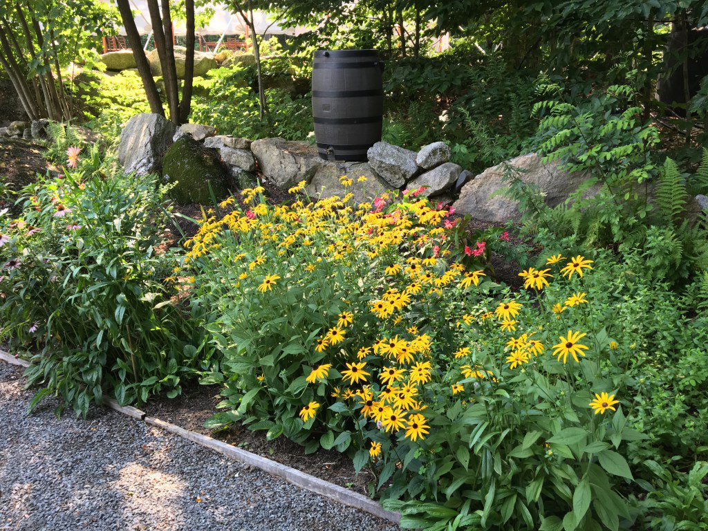 tide_creative's tweet image. Summer Gardens hardyfarm.com/summer-gardens/