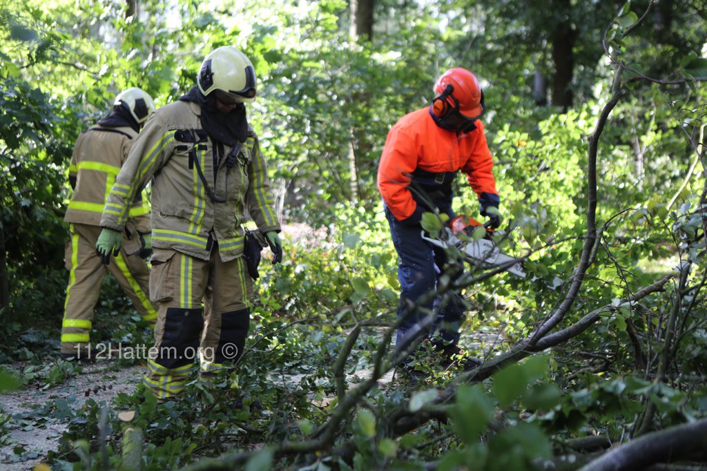 Stormschade Kamperweg Heerde. Boom over het fietspad.