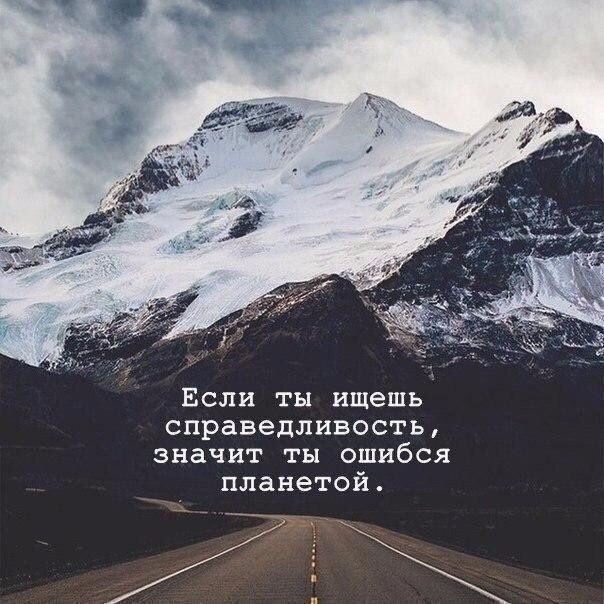 Соня Джаватова (@zonyadwatova) on Twitter photo 