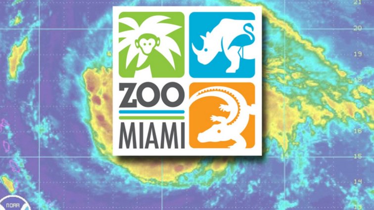 .@zoomiami may be closed up to 2 months after #Irma, no mammal deaths during storm bit.ly/2fiTQts?utm_me… https://t.co/R8dGSx84Ti