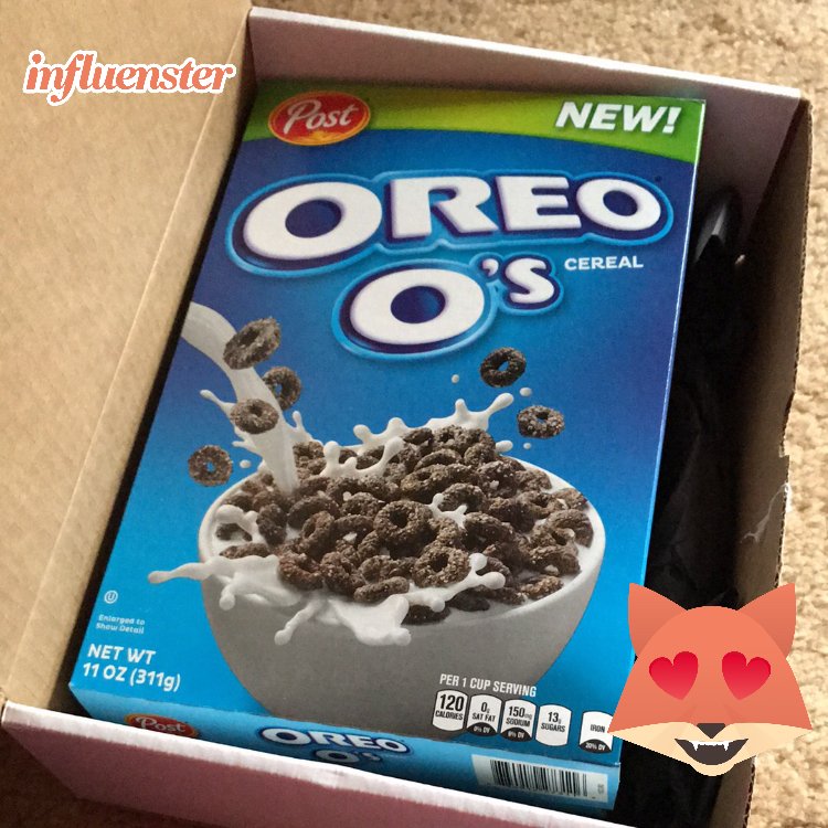 Amelia Fitzgerald tweet media