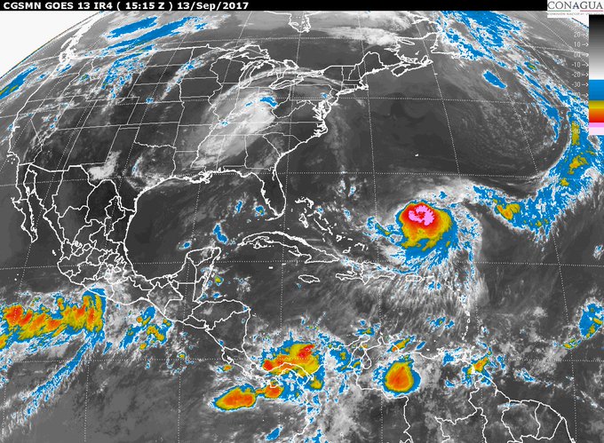 Ver imagen en Twitter