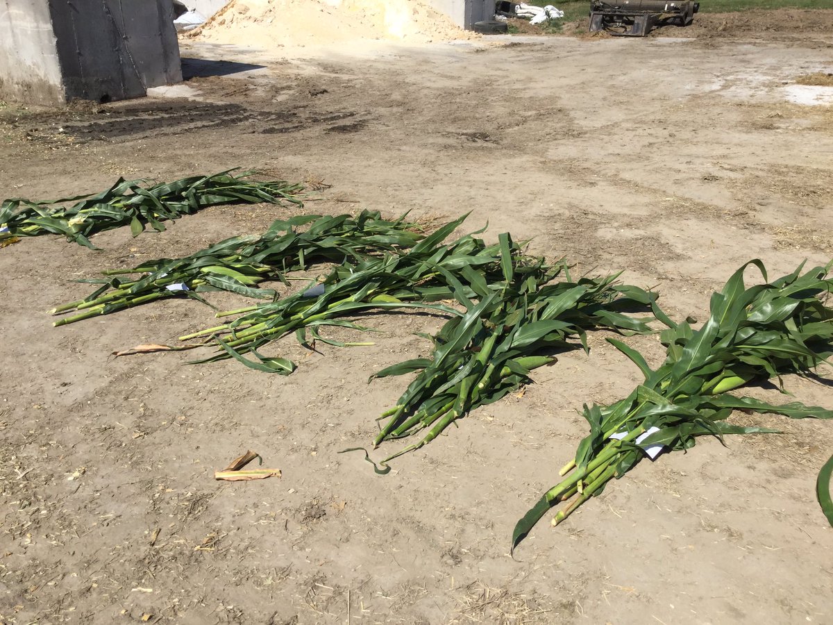 John Seliga tweet media