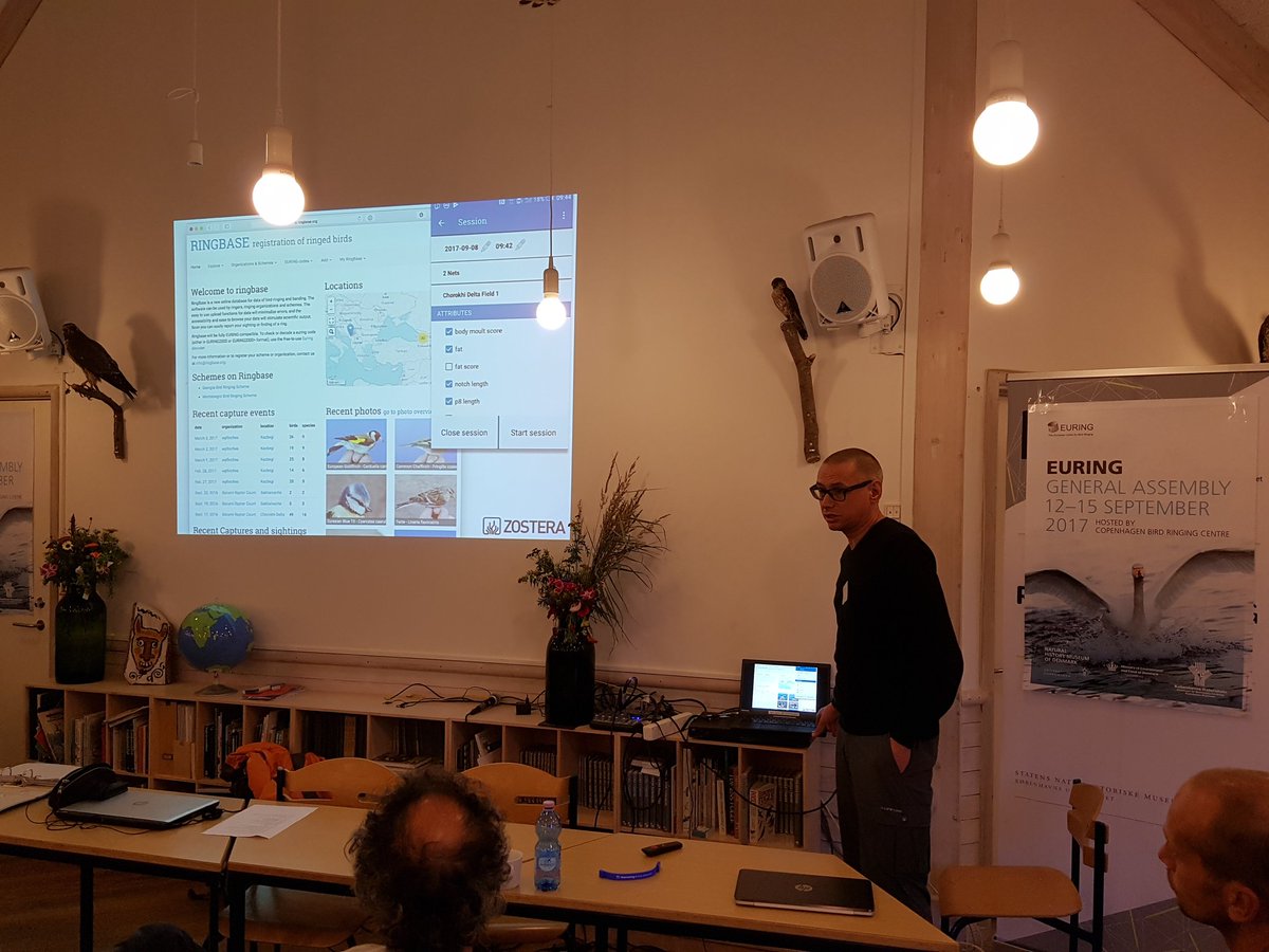 _EURING's tweet photo. Dylan Verheul describes RINGBASE software for managing ringing data at #EURINGGM17 https://t.co/UHEYAHwcUa