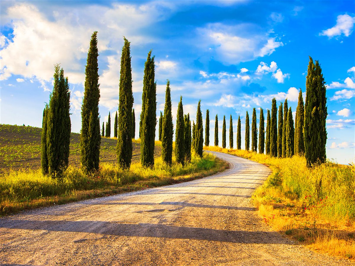 lonelyplanet's tweet image. Hit the open road with one of these six epic #drives lptravel.to/MQEDqQ #travel #roadtrip