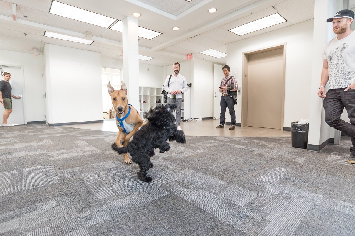 wearebctech's tweet photo. This week’s #SpotlightonTech is on @RedAcademy! Find out more about their company here: https://t.co/TCnGd0CIvm https://t.co/GwTpIsu4PN