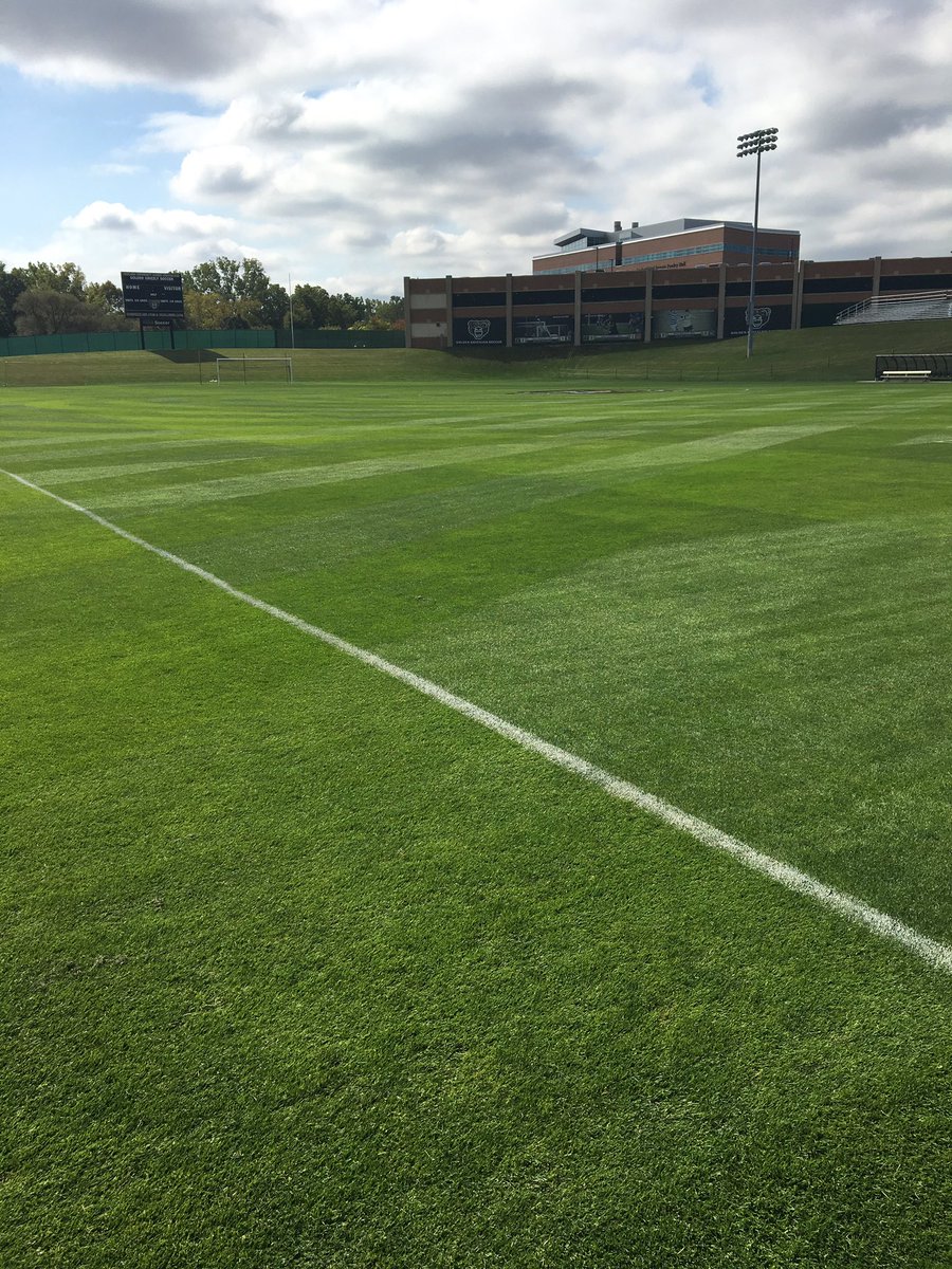 ousoccerfield's tweet photo. MatchDay! 1st of 3 games in 5 days. Pitch is ready!
#OaklandMSOC #OaklandWSOC
#WEARtheBEAR #realgrassisbetter https://t.co/Mo9NJ4a8af