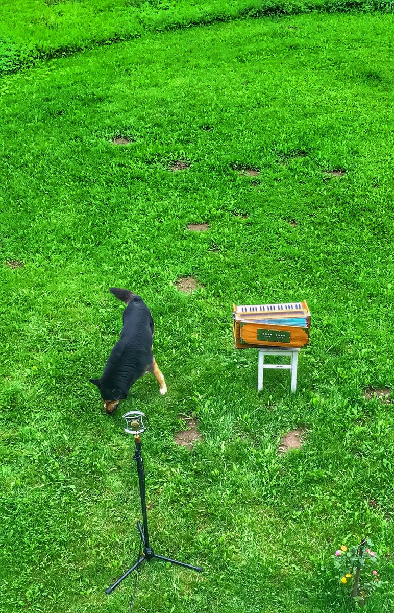 Raxtu Raxti (@raxturaxti) on Twitter photo 