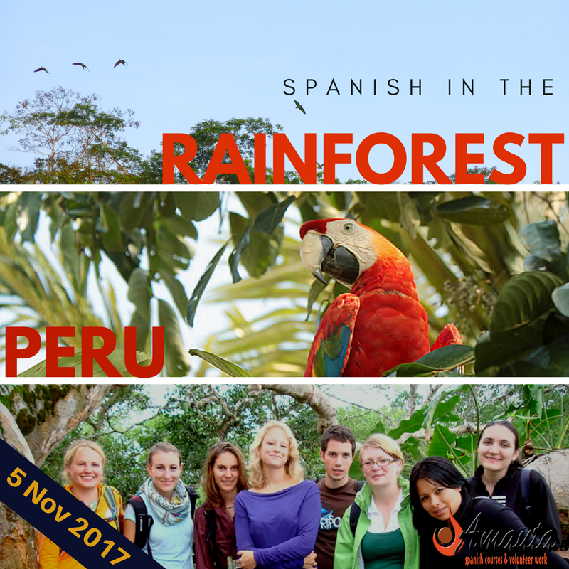 AmautaSchool's tweet photo. Exciting #SpanishProgram in the Peruvian #Rainforest! Course dates 5th - 11th November in #Tambopata // info@amautaspanish.com https://t.co/yqgLYSo0Hl