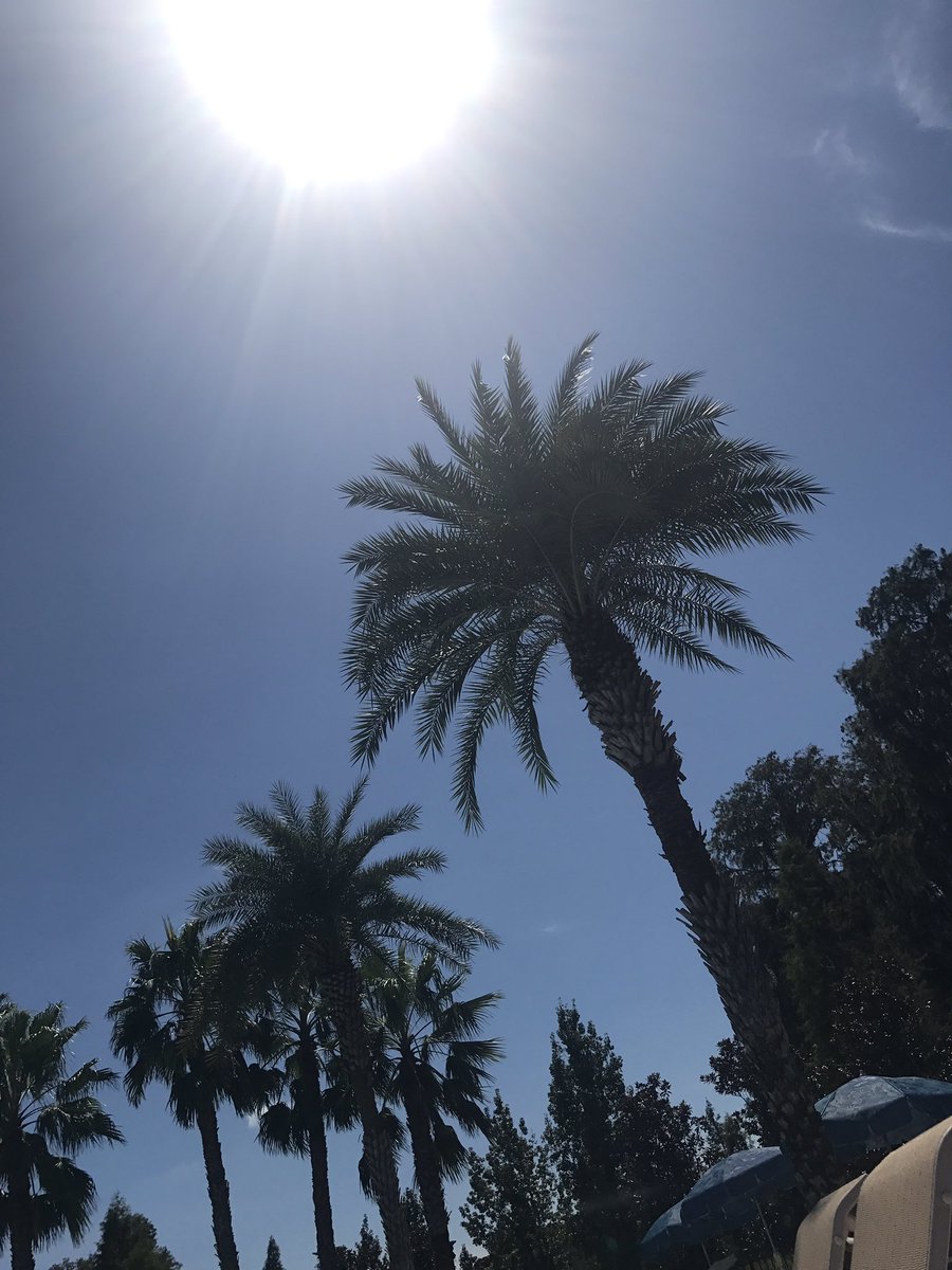 mer_allen81's tweet image. Current situation ☀️☀️ #stillnopower