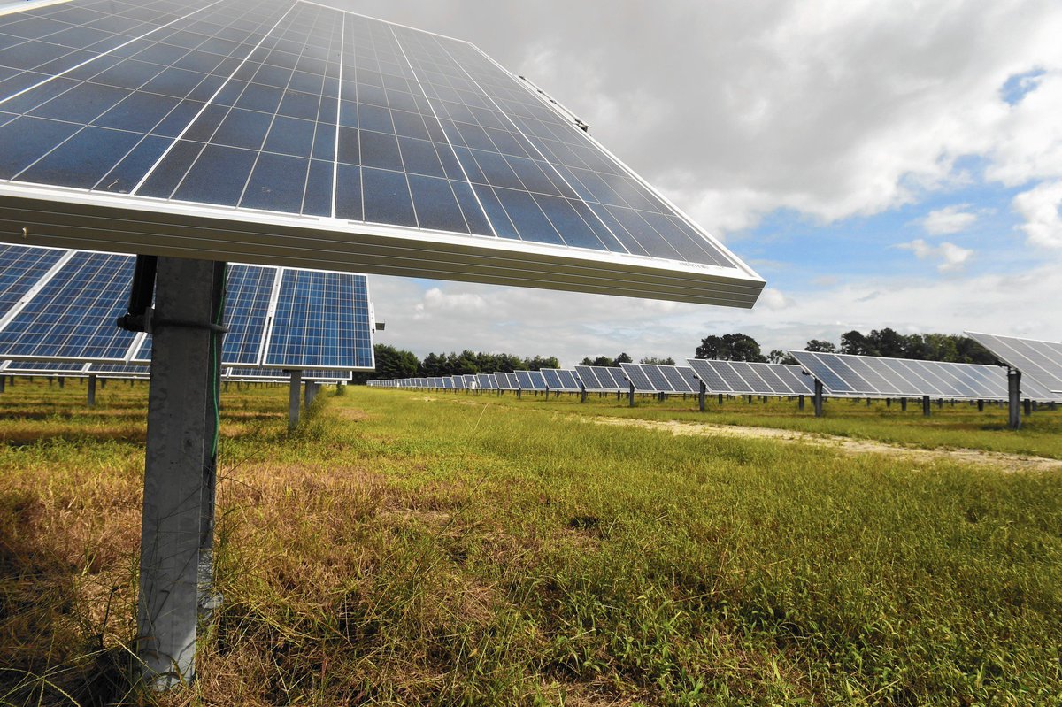 Baltimore Sun Green tweet media