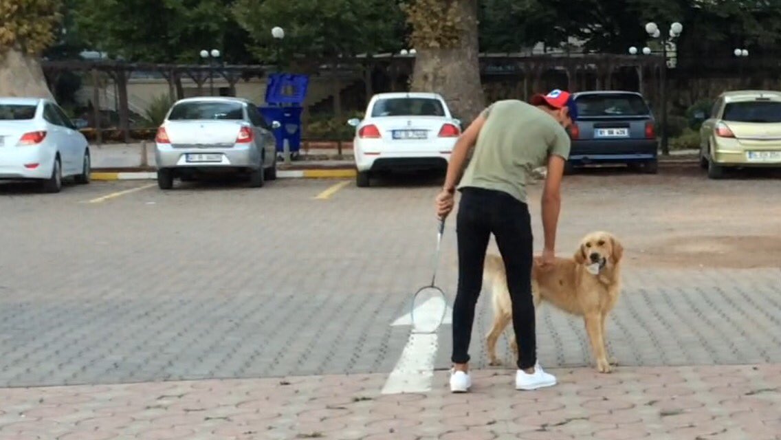 Başını okşayarak topu iste diyenler fav raketi ağzına geçir diyenler rt