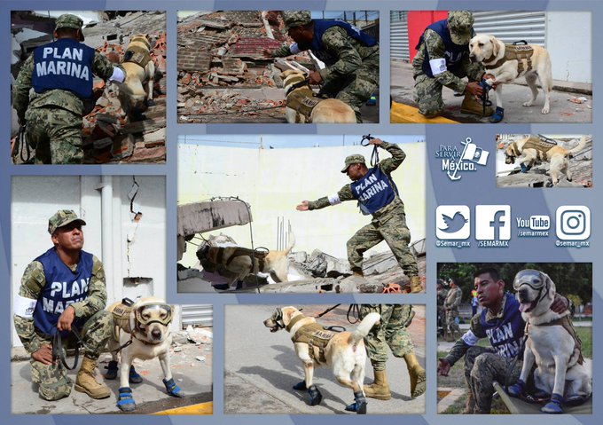 Ver imagen en Twitter Ver imagen en Twitter