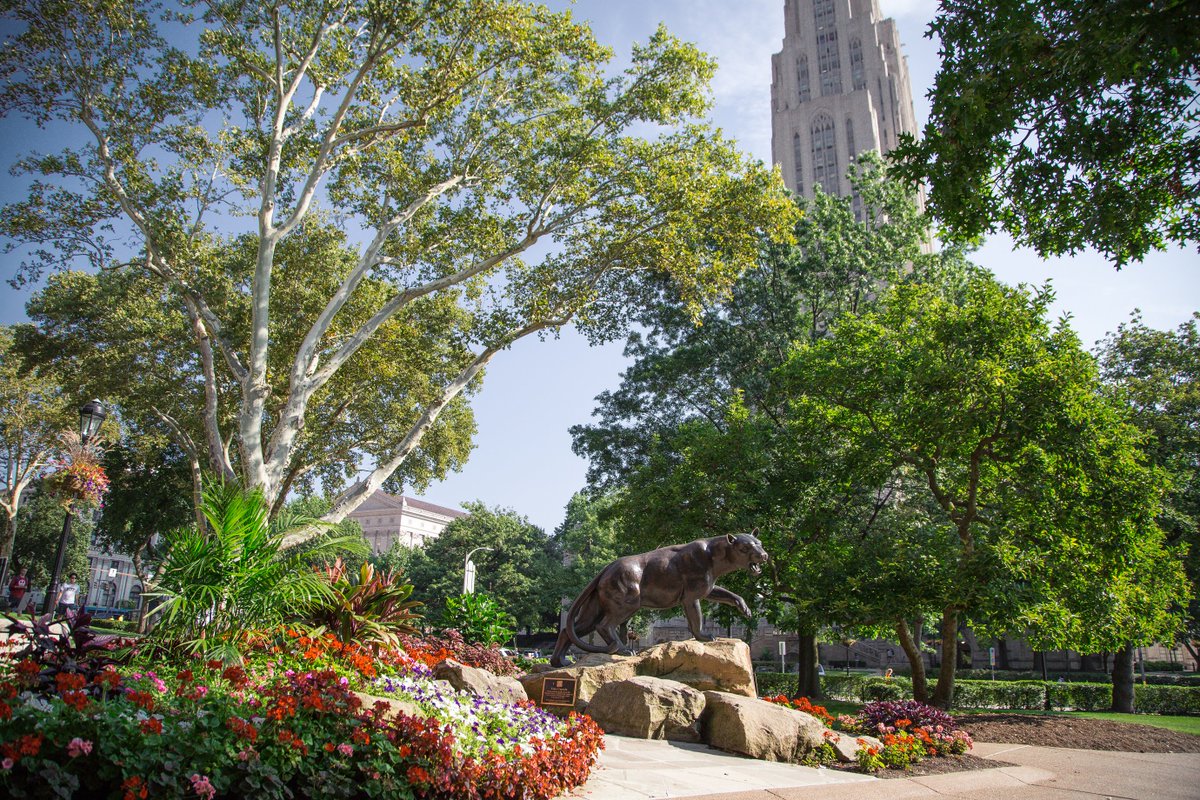 pittadmissions's tweet photo. Hail to beautiful late summer afternoons on campus. #H2P https://t.co/spLVrJayJ4