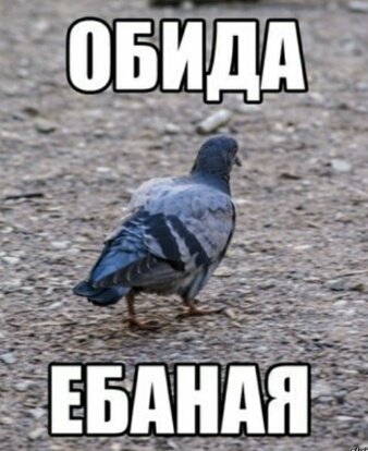 которой обида егорка картинки народных легендах