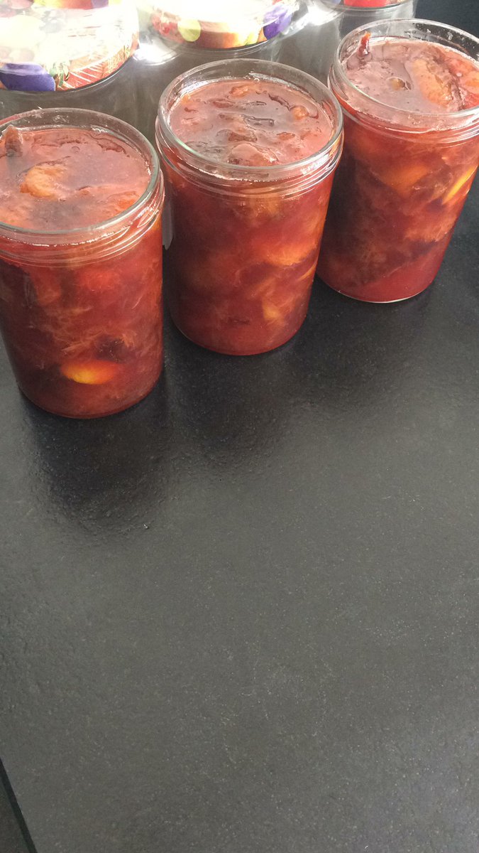 Joseph Rothstein (@Joe_Rothstein) | Twitter