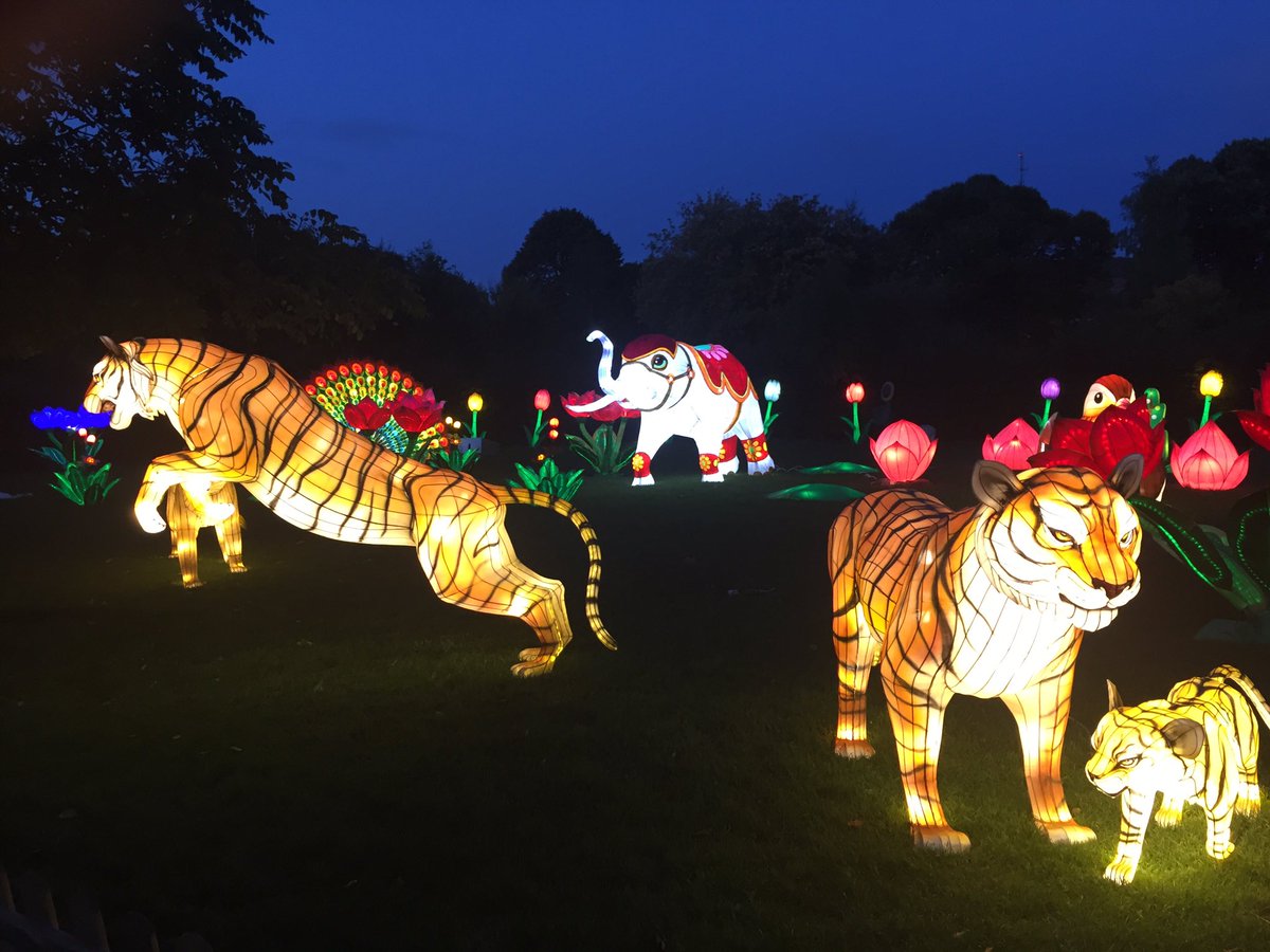 LiamTourismEire's tweet image. A tiny sample of some of the exotic inhabitants who light up our visit to the world's oldest zoo @DublinZoo #WildLights opening 3rd November