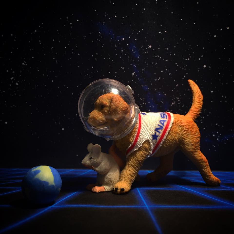 We love this CURIOUS diorama created by <a href="/CCMiniFactory/">C+C Mini Factory</a>! 🌎