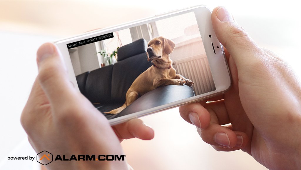 AlarmDotCom's tweet photo. Video monitoring makes it easy to check in on the family pet: https://t.co/Wgol6wz5Ev #SmartHome #SmartSecurity https://t.co/tKvWEr3nAg