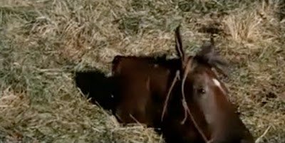 Just watched: Grizzly (1976) Christopher George! Gory kills! Gory CHILD kills!😮 How tf is this flick PG-13?!😂 #Horrormovies #BHorror💀👊🐻